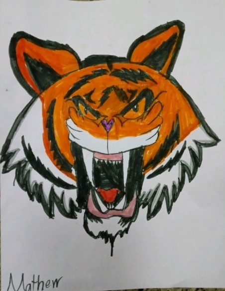 Tiger by Mathew 